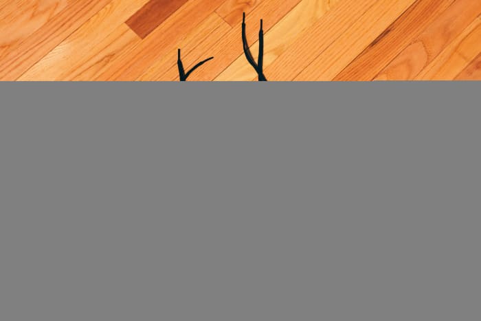 Side view of James Harden's purple and black adidas sneakers.